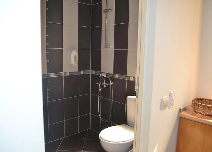 Seagarden 로제넷츠