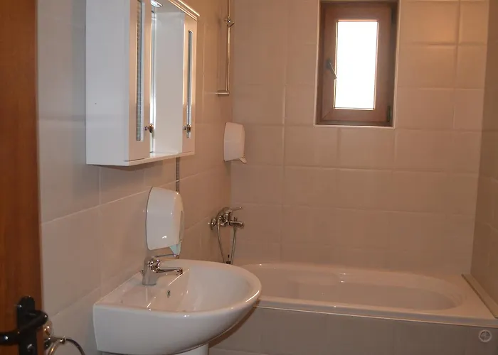 Seagarden 로제넷츠